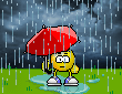 regen1[1]